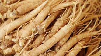 eleuthero-root